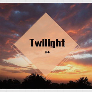 Twilight(羽中Bootleg)