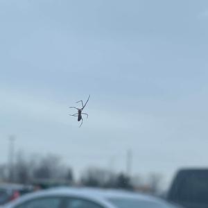 why you'll find us in the morgue (feat. Shyfox)