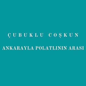 Ankarayla Polatlının Arası
