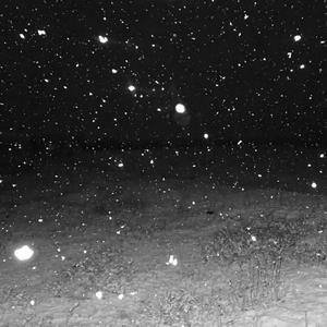 难逃这场雨 Remix