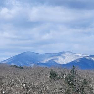 Reaction Is Not The Wound