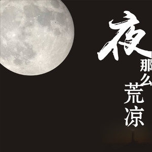 夜，那么荒凉