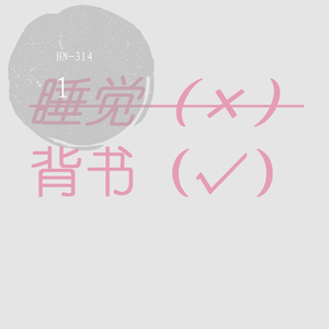 群星-琵琶行（HN-314 bootleg)（HN-314 remix）