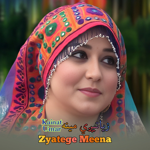 Zyatege Meena