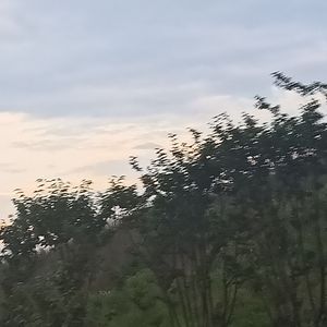 7copy-晚风（朵约奶茶店 remix）