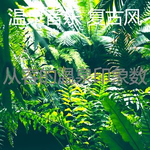 抚慰的按摩回忆