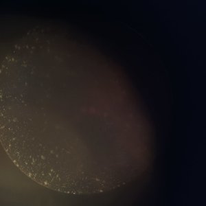 远志当归(柔和版)