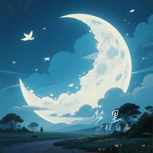 梦里 (Cover 林心如 & 周杰)