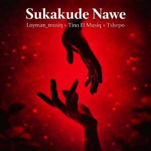 Sisukakude Nawe