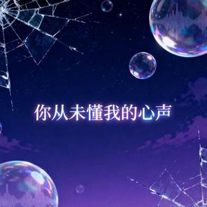 你从未懂我的心声