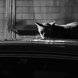 Say to me（诉说）