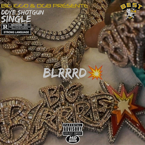 Blrrrd