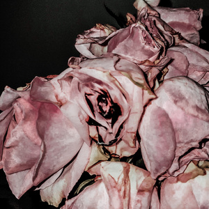 等我醒来再叫醒我