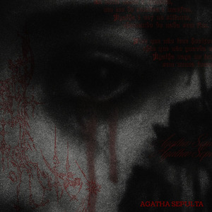 NãoSeiCantarPostPunk