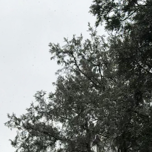 冬日书（prod.by Morrow）