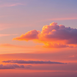 Apenas Aceite A Realidade