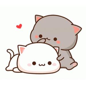 បងទើបតែដឹងចិត្តអូន