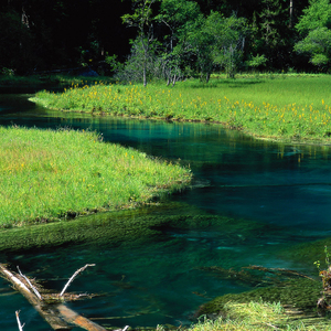 就把这首歌送给外地的你