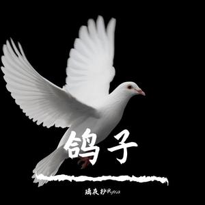 鸽子（翻自 洛天依）