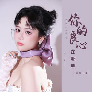 你的良心在哪里 (DJ彭锐版)