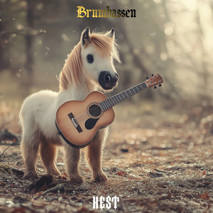 Hest