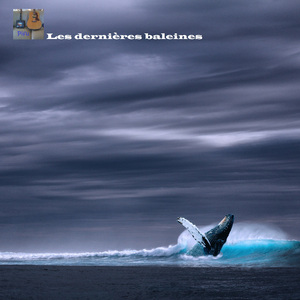 Les dernières baleines