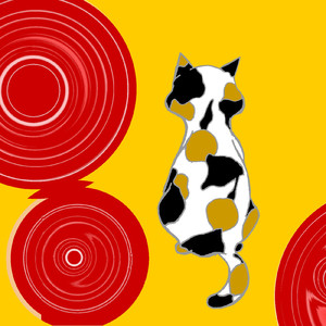 居酒屋の迷い猫