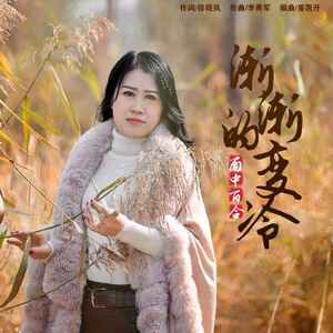 渐渐的变冷 (伴奏)