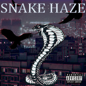 Snake HAZE