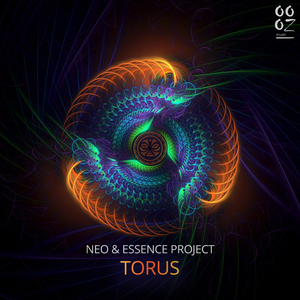 Torus