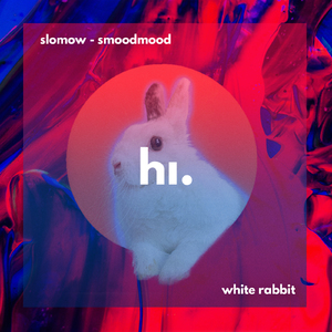 White Rabbit