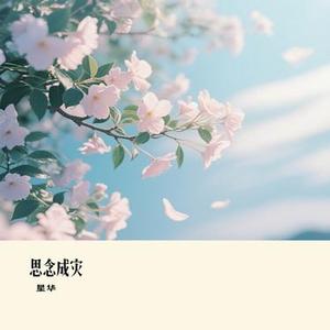 讽刺的情书 (星华 Remix)