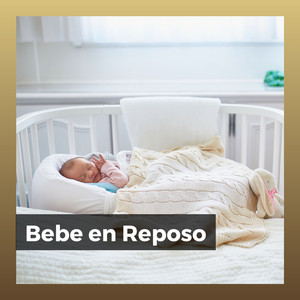 ポップはイタチに行く