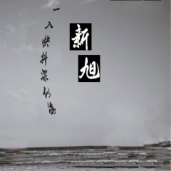 一入抖音深似海 (DJ版)