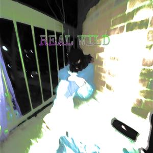 Real Wild (feat. 4D3N)