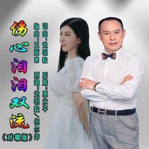 伤心泪泪双流 (对唱版)