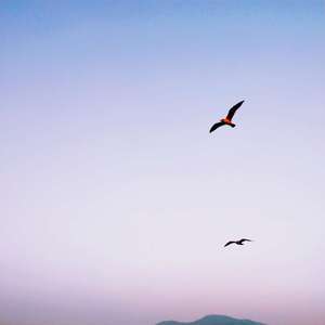 贰零日记（Prod by YXT）