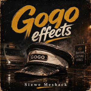 Gogo X10