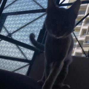 Just an Illusion and Then.../Abandoned Child on the 8th Floor