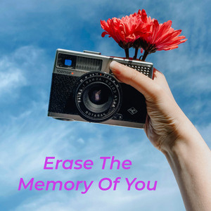 Erase The Memory Of You