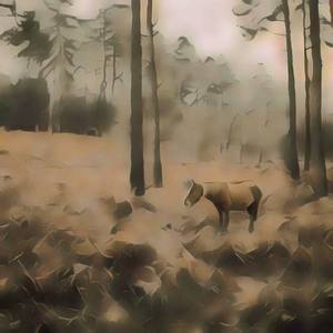 Subleasing Anacoustic