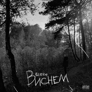 Виснем