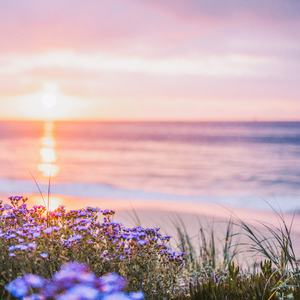 温良时光（经典钢琴曲）