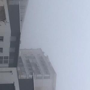 Herz Im Nebel