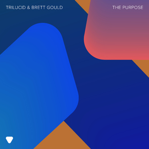 The Purpose (Extended Mix)