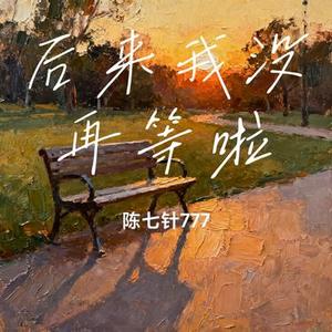 后来我没再等啦