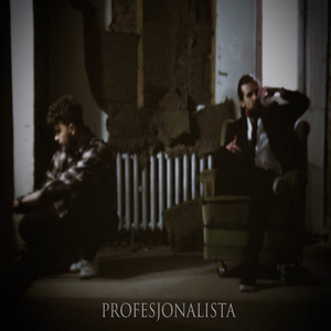 Profesjonalista