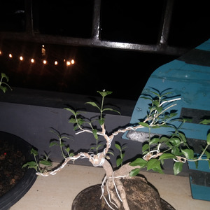 Cara Kita (Acoustic)