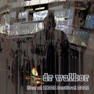 Live at MICA festival 2021