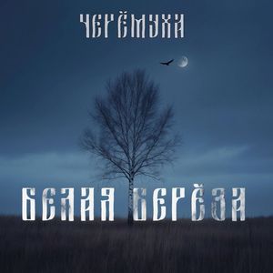 БЕЛАЯ БЕРЁЗА